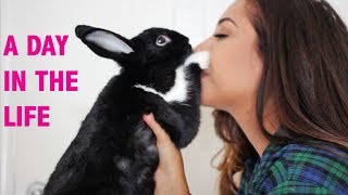 A Day in the Life of a Bunny Mom