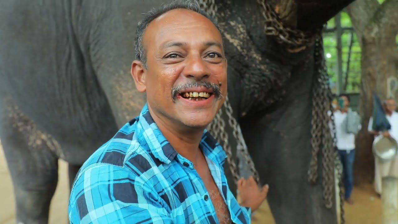 අජිත් මාමගේ උපන්දිනය සමරන්න කතරගමට පැමිණි වාසනා