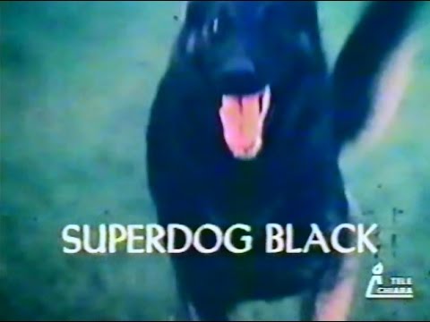 Superdog Black - videosigla opening