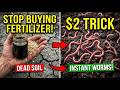 How To Revive Dead Soil Fast | The $2 Molasses & Oat Fertilizer Trick