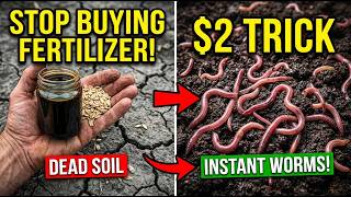 How To Revive Dead Soil Fast | The $2 Molasses & Oat Fertilizer Trick