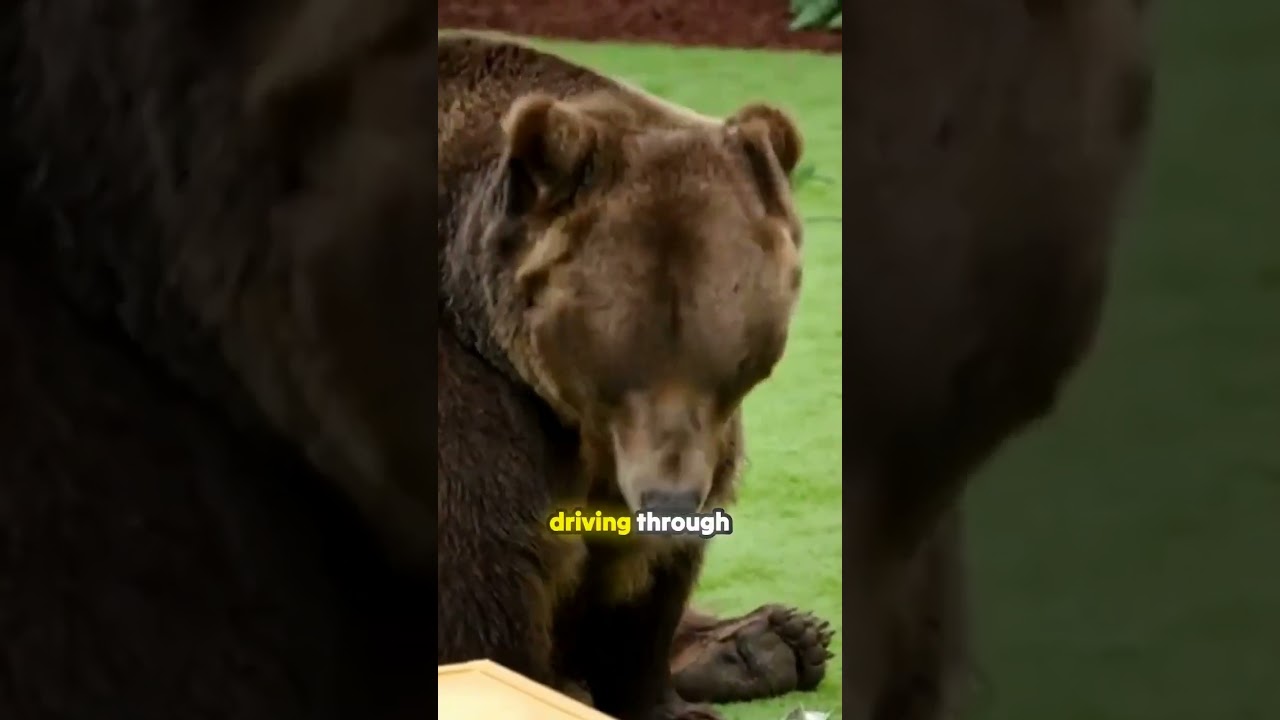 7 Death Traps for $500 000 Challenge 