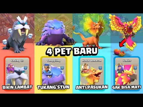 Video: 15 Anjing yang Besar Peminat Bintang Wars