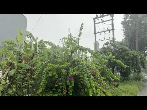 🌧️ Relaxing Rain Sounds for Deep Sleep, Meditation and Peaceful Rest