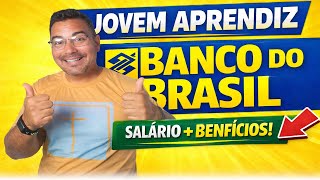 Jovem Aprendiz Banco do Brasil 2026 ➤ Salário de até R$1 621   Benefícios! Como se Inscrever 💼✨