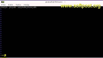 How to quit vi editor in Arch Linux