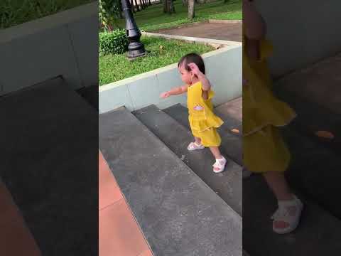 Video Cherry tự leo bậc thềm ???????? - youtube