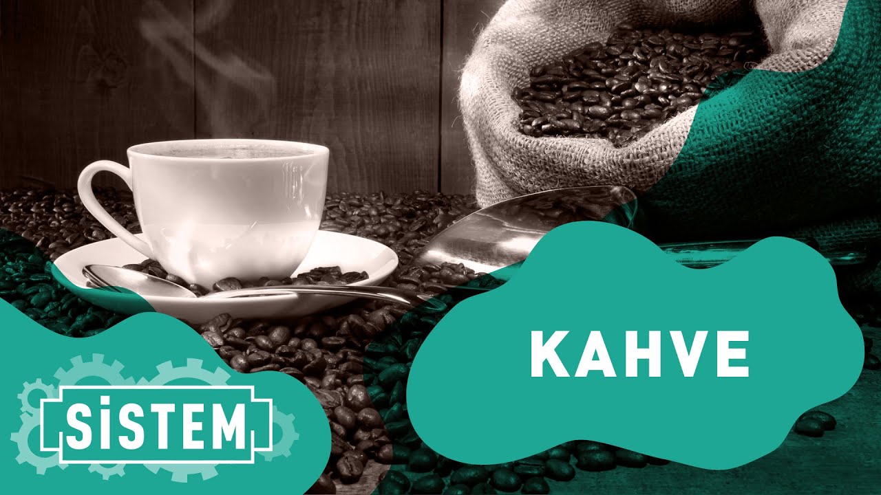 SİSTEM Kahve mi Çay mı? ☕️ YouTube