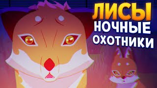 ЛИСЫ - НОЧНЫЕ ОХОТНИКИ ( Endling - Extinction is Forever )