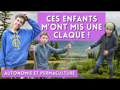 Vidéo: Le fait de faire vos achats en bas âge pourrait-il améliorer sa fonction cérébrale? Une étude montre que les enfants développent des compétences à partir d’activités «actives»