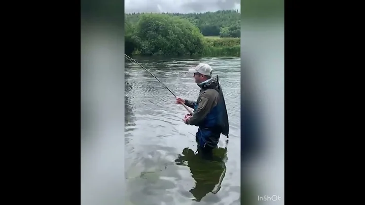 Hard fighting salmon on the river Suir