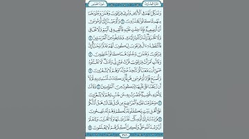 #ماهرالمعقلي#القرآن_الكريم سورة القصص