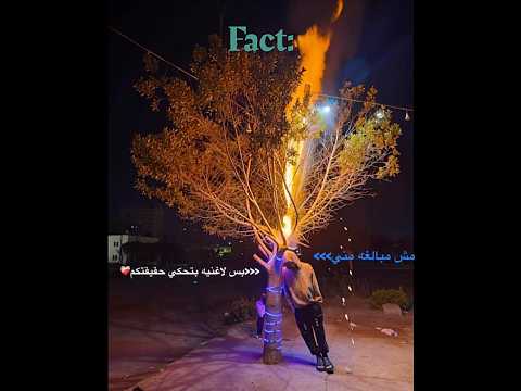 مين فيكو مره كلمني
