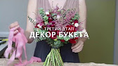 фото эвкалипт николи