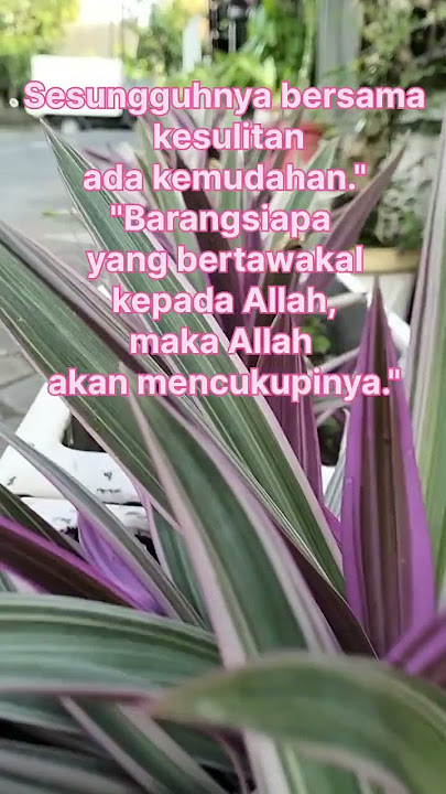 Motivasi diri, motivasi kehidupan, kata kata motivasi, kata kata bijak, kata mutiara, motivation,