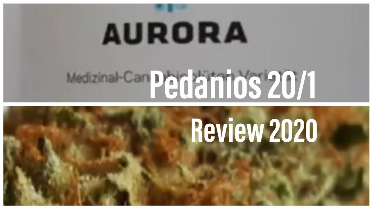 Medizinisches Cannabis Aurora Pedanios 20/1 Review (Medical Cannabis)