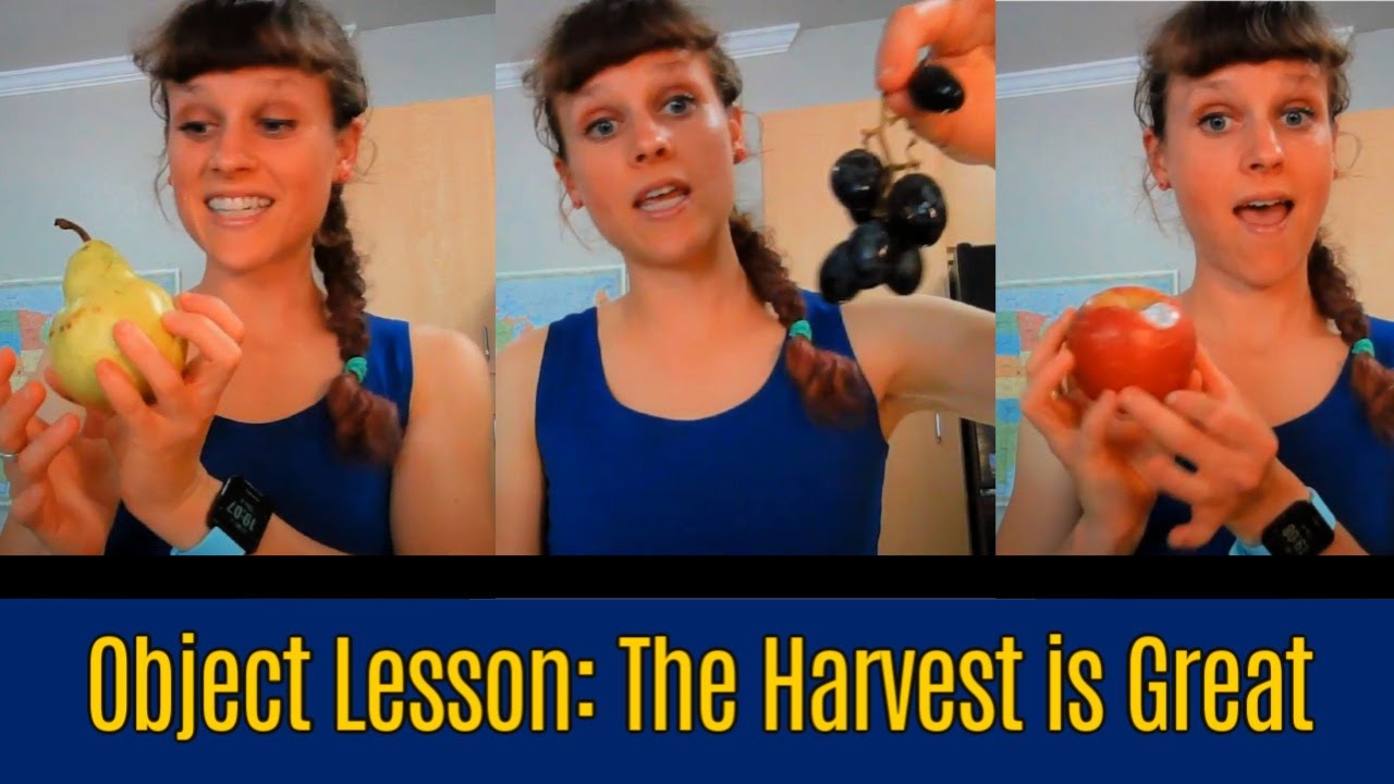 Children's Message: Harvest Disciples (Matthew 