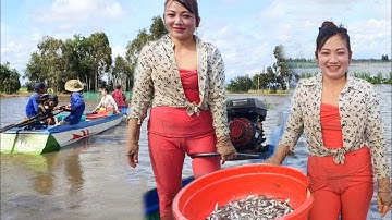 Mưu Sinh Mùa Nước Nổi Đặt Dớn Cá Linh Vùng Đầu Nguồn Đồng Tháp