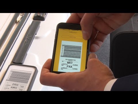 What Lufthansa Keychain