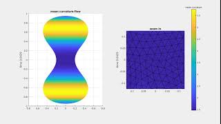 Mean curvature flow with singularty