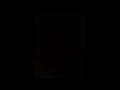 سوداني يقول أنا بنام 
