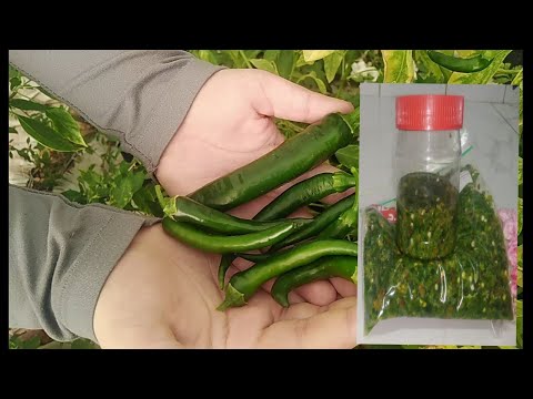 Video: Yuav Ua Li Cas Neutralize Peppers