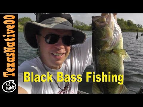 Texas Black Bass Fishing with Artificial Lures