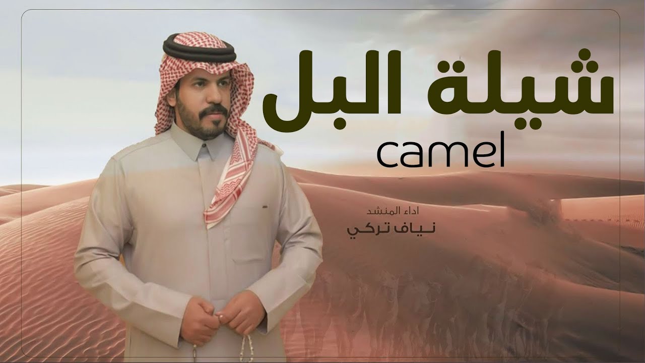 شيلة البل كلمات شاكر عماش أداء نياف تركي شيلات جديده