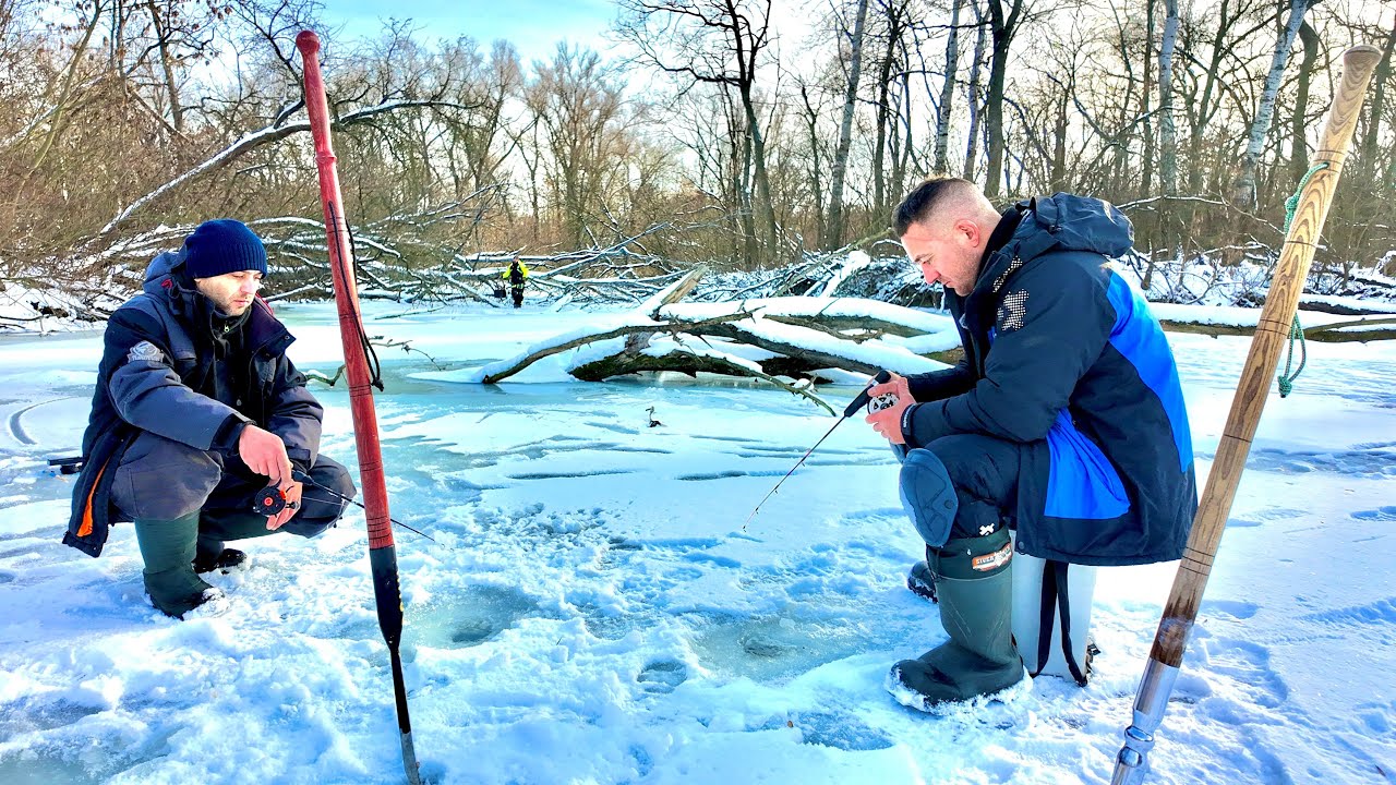 Оце НАБОМБИЛИ!!! Первольодка КОРМИТЬ!!!