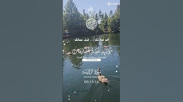 تلاوة خاشعة عطرة مباركة جميلة عذبة للشيخ سعد الغامدي سورة الزلزلة