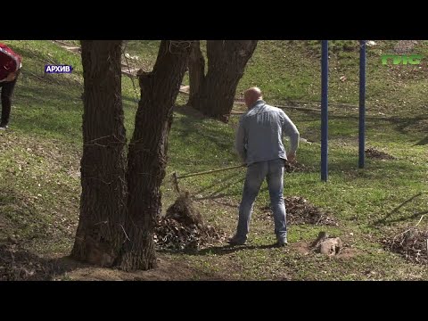 1 апреля в Самаре стартует месячник по благоустройству