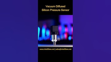 Stainless Steel Vacuum Diffused Silicon Pressure Sensor 4-20mA - IntelliBee Sensor