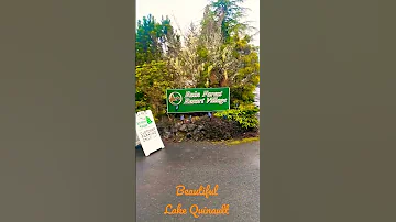 Beautiful Lake Quinault And The Rain Forest Resort Village Olympic Peninsula Wa 