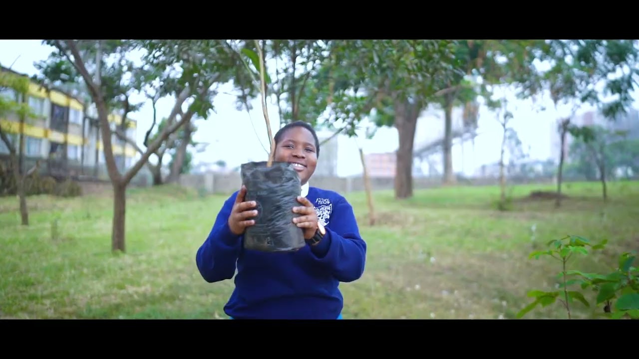 PANGANI girls Conversion