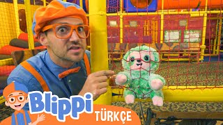 Blippi Orman Hayvanlarını Keşfediyor - Oyun Parkı | Blippi Türkçe - Çocuklar için Eğitici Videolar