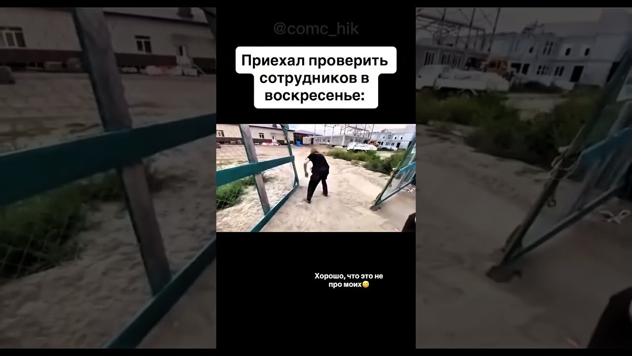 выходной не отменяется 