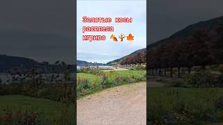 какая красивая осень #europe  #песнядуши #music #france #frankreich #shorts #природа #осень #отдых