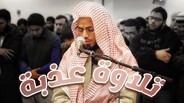 ما هذا الخشوع؟!!!  / «وضرب لنا مثلا و نسي خلقه...» الشيخ شيخ أبو بكر الشاطري / ما تيسر من سورة يس