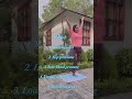 Yoga 🧘♀️ 🌳 Just like a tree—grounded, balanced, and growing #treepose #vrikshasana #yoga