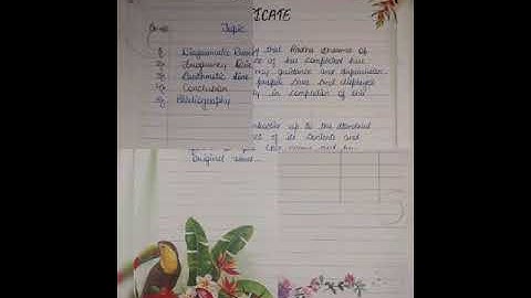 economics project file for class xi th on diagrammatic presentation of data