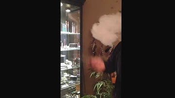 Vapeonly dual coil bottom coil