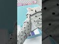 Apple iPhone #iPhone17pro #PhonePackage #DigitalTechnology