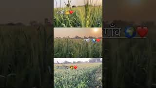 Gaon Mein Gulam Log Nahin Rahte Malik Log Rahte Hain Sab Apne Marji Ke Malik shortsstatus shorts