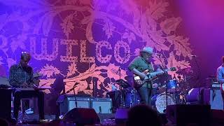 Jesus, etc., by Wilco