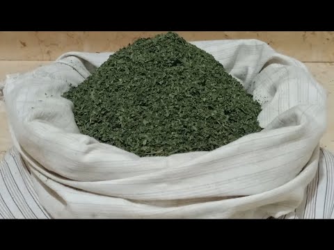 اسرع طريقه لتجفيف الملوخية الخضراء الي ناشفه من السنه للسنة وتفضل محتفظه بلونها الاخضر بطريقة جدتي