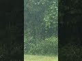 Pouring (REAL)