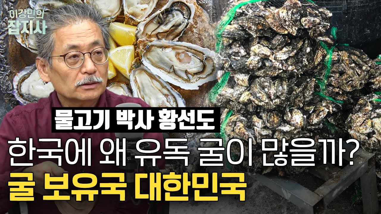 🦪 굴, 꼬막, 바지락, 백합.. 조개에 대해 얼마나 아십니까?