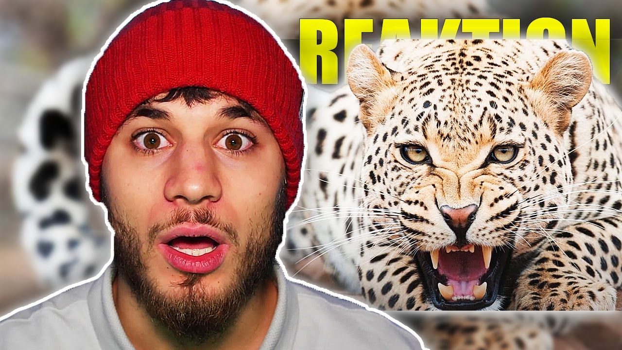 YaviTV reagiert auf "die gefährlichsten TIERE der WELT" 😱