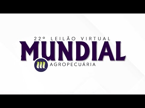 Lote 08   BERK DA MUNDIAL   MUN 4875 zap