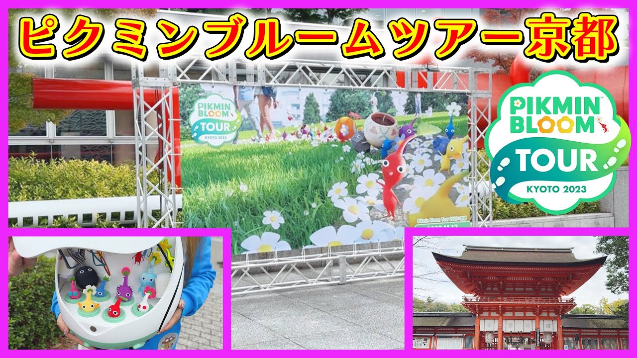 【ピクミンブルーム】盛り沢山の京都ツアー！デコにポスカに直接対決！？そしてピクミン里帰り！おかわりの京都ツアーを詰め込みました！【Pikmin Bloom】